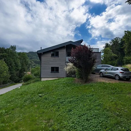 Familiale Avec Spa, Billard, Et Parking Prive - Fr-1-589-321 Laveline